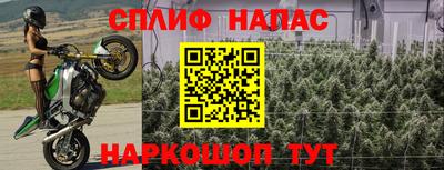 дживик Обнинск