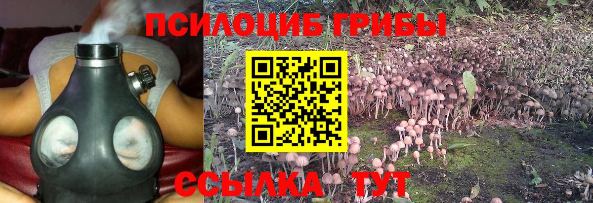 наркошоп  Вход с VPN  Галлюциногенные грибы MAGIC MUSHROOMS  Тимашёвск  Псилоцибиновые грибы Psilocybine cubensis 